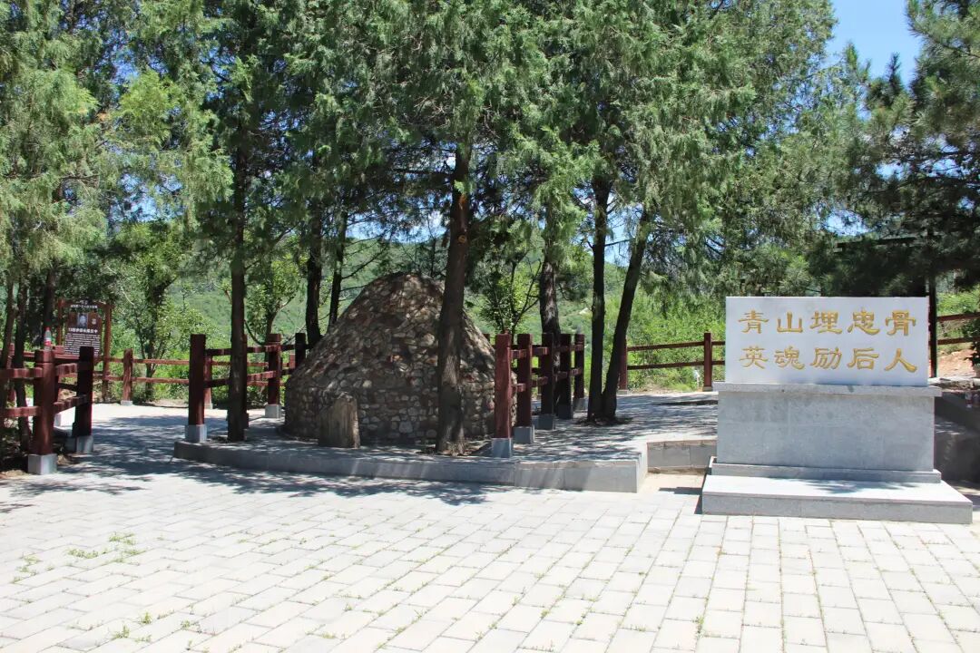 cbf362c0bd2f778d9833d8f0149ac53f.jpg cbf362c0bd2f778d9833d8f0149ac53f.jpg