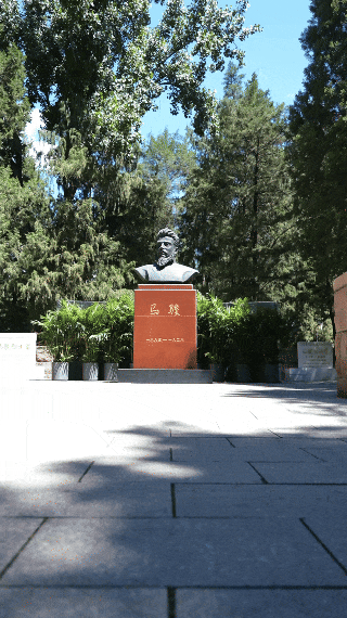 1.gif