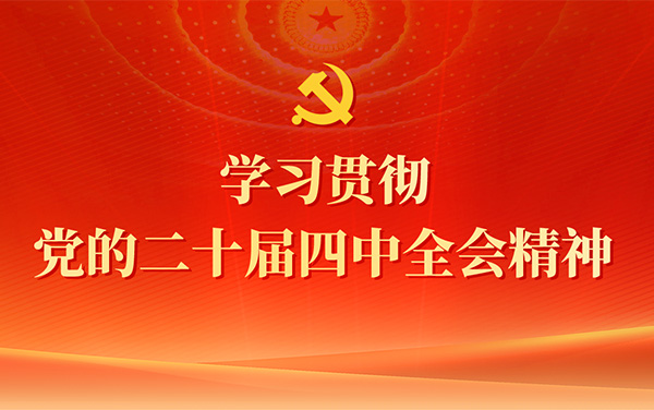 学习贯彻党的二十届四中全会精神